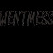WENTMESS/唯伊丝
