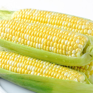 静益乐源 甜玉米 500g
