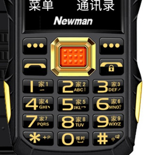 Newman 纽曼 R19 4G手机 黑色