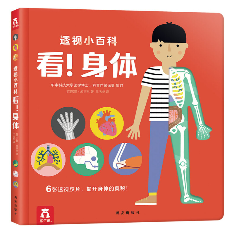 《透视小百科·看！身体》（精装）