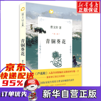 青铜葵花正版曹文轩纯美小说7-8-9-10-12岁草房子系列儿童文学校园青少年版 人民文学出版社