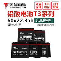 天能真黑金电池电动车48V6072V电瓶铅酸免维护胶体蓄电池雅迪爱玛适用 60V20A以旧换新【5只】