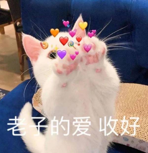 三坑少女,我来啦~带着99大促袭来咯!!!