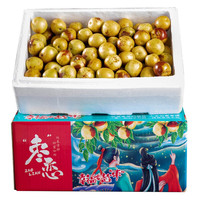 晋芗 冬枣 2.5kg