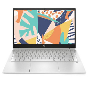 HP 惠普 星14 十代酷睿版 14.0英寸 轻薄本 银色 (酷睿i5-1035G1、MX250、8GB、128GB SSD+1TB HDD、1080P、60Hz)