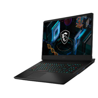 MSI 微星 冲锋坦克Pro GP76 十一代酷睿版 17.3英寸 游戏本 黑色 (酷睿i7-11800H、RTX 3070 8G、16GB、1TB SSD、2K、IPS、240Hz）