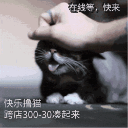 天猫300-30跨店满减，凑好等同再叠9折！