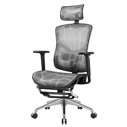 Ergoup 有谱 XP 电脑椅办公椅人体工学椅老板椅靠背椅家用升降可躺透气网布椅 灰色网布 不带脚踏