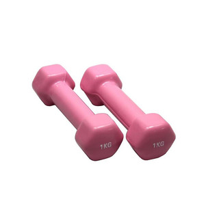 KYLIN SPORT 光面浸塑哑铃 女士瘦身 瑜伽哑铃跳操 0.5kg*2