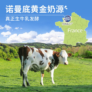 GoGo SqueeZ 梦果鲜 常温儿童酸奶果泥 法国原装进口草莓味84g*4袋