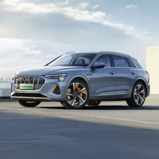 Audi 奥迪 e-tron（进口） 20款 55 quattro 全球限量版