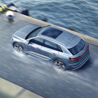 Audi 奥迪 e-tron（进口） 20款 55 quattro 全球限量版