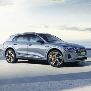 Audi 奥迪 e-tron（进口） 20款 55 quattro 全球限量版
