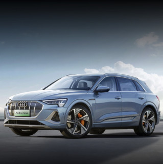 Audi 奥迪 e-tron（进口） 20款 55 quattro 全球限量版