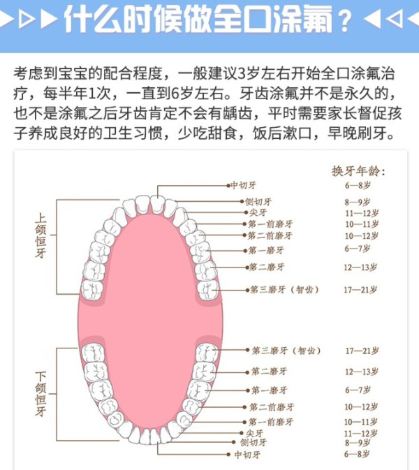牙管家 儿童全口涂氟套餐
