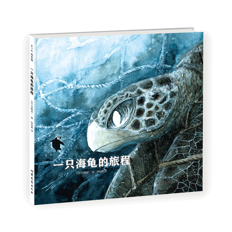 《一只海龟的旅程》（精装）