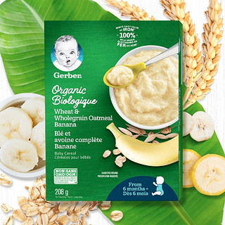 Gerber 嘉宝 有机米粉 美版 3段 香蕉味 208g*2盒