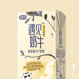 JUNLEBAO 君乐宝 遇见奶牛流心奶黄 牛奶饮品 250ml*12盒