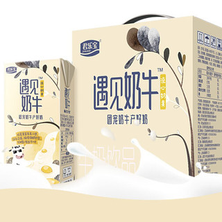 JUNLEBAO 君乐宝 遇见奶牛流心奶黄 牛奶饮品 250ml*12盒
