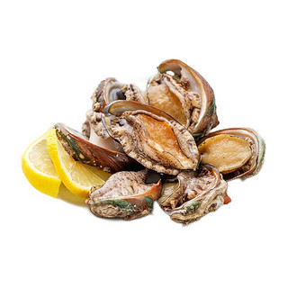 WECOOK SEAFOOD 味库海鲜 鲜活鲍鱼 中号 15-18个 500g