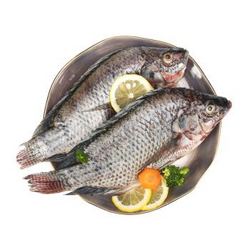 勤富国产海南三去罗非鱼鲷鱼1kg3条装