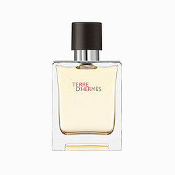 HERMÈS 爱马仕 大地男士香水 50ml