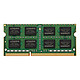 Kingston 金士顿 KVR系列 DDR3 1600MHz 笔记本内存 普条 绿色 4GB KVR16S11S8/4BKP