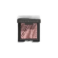 CHANTECAILLE 香缇卡 闪烁光采眼影 #PANGOLIN紫灰色 2.5g