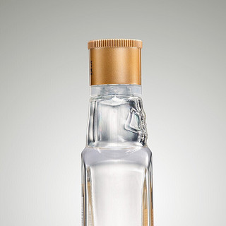 WULIANGYE 五粮液 尖庄酒 紫小庄 50%vol 浓香型白酒 100ml 单瓶装