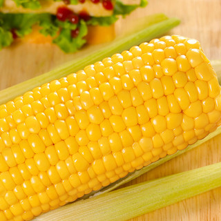 Northeast Peasant Madame 东北农嫂 小甜甜的梦 甜玉米段 100g*10袋