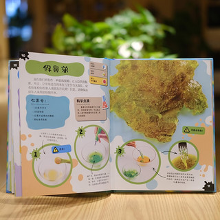 《儿童趣味百科·DK儿童好好玩：超级黏液手工书》（精装）