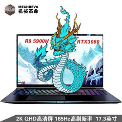 MECHREVO 机械革命 蛟龙7X 17.3英寸游戏本（R9-5900HX、32GB、1TB、RTX3080）