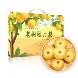 青青大地 老树秋月梨 大果 6-8粒 3kg 礼盒装
