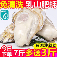 BEISILING 贝司令 乳山生蚝鲜活生蚝肉新鲜大牡蛎5/10斤整箱无泥沙充重