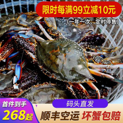舟山梭子蟹鲜活 4斤精品装（约7-11只）