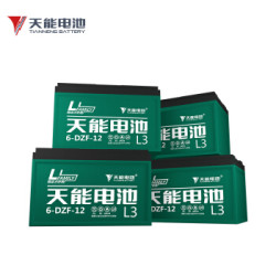 TIANNENG BATTERY 天能电池 48V12AH 电动车电池 6-DZF-12(4只装)