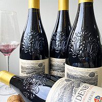 PRANTEBURG 勃兰登堡 原瓶进口欧洲14度干红葡萄酒双支装 雕花重瓶红酒热卖