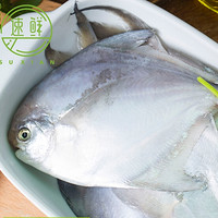 周三购食惠：SuXian 速鲜 小平鱼银鲳鱼 500g（5-7条）