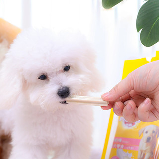 宝路 Pedigree 幼犬洁齿棒 60g*3 宠物零食