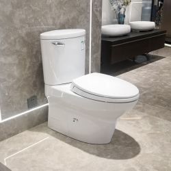 toto东陶智洁虹吸喷射浴室卫生间坐便器防臭马桶cw804rb