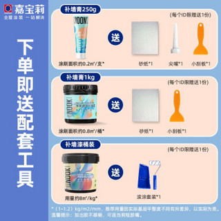 嘉宝莉CARPOLY  补墙膏白色墙面修补腻子膏内墙钉眼脱落裂缝补墙漆补墙神器 补墙膏250g 买就送配套工具