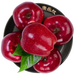 康乐欣 甘肃天水花牛苹果   净8斤以上