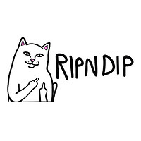 RIPNDIP