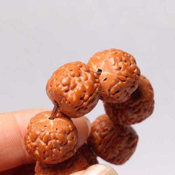 藏式龙鳞纹金刚手串 1.6cm 金刚菩提子 五瓣红皮