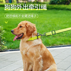 狗狗项圈脖圈柴犬金毛小型中型大型犬狗链牵引绳颈圈宠物用品头套