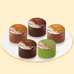 Häagen·Dazs 哈根达斯 冰淇淋月饼礼券 卢浮宫IP-自然女神  304g