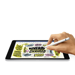 Apple 苹果 iPad 9 2021款 10.2英寸 平板电脑（2160*1620dpi、A13、256GB、Cellular版、深空灰、MK633CH/A）