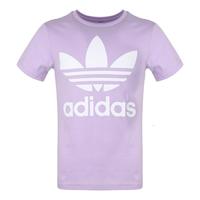 adidas ORIGINALS TREFOIL TEE 大童运动T恤 DV2908