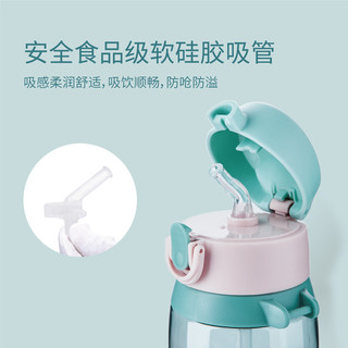 希乐儿童水杯幼儿园宝宝可爱卡通防摔把手背带便携学生水壶吸管杯 XL-1931S绿色450ml