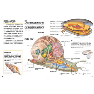 《万物运转的秘密·动物》